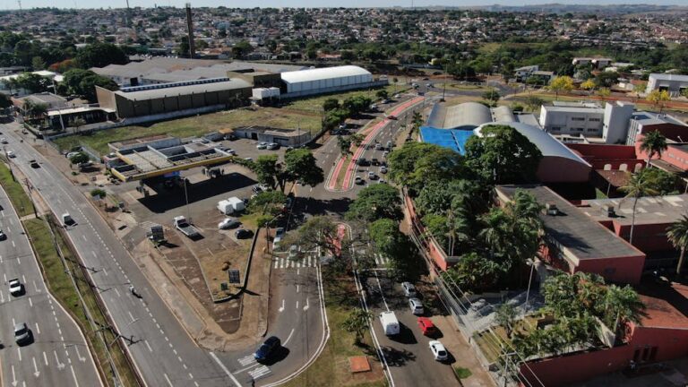 Palmeiras plantas na Zona Sul de Macapá estão morrendo por falta de manutenção