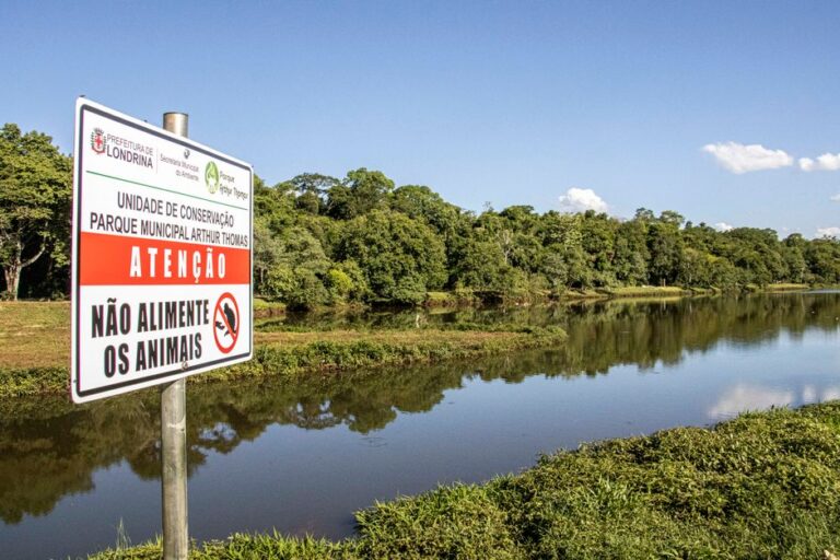 Prefeitura emite novo alerta de chuvas fortes em Macapá; Zona Sul deve concentrar maior volume
